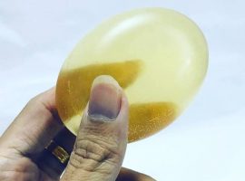 translucent-natural-004